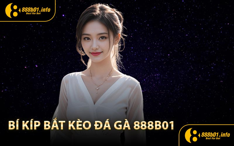 Bí kíp bắt kèo đá gà 888B01