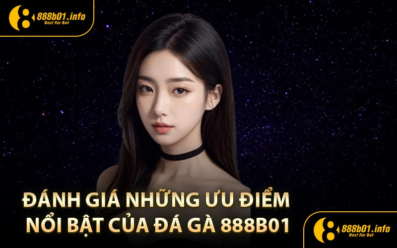 Đánh giá những ưu điểm nổi bật của đá gà 888B01
